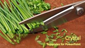  Presentation with terra - Audience pleasing presentation theme consisting of shear - freshly washed green chives being backdrop and a tawny brown colored foreground