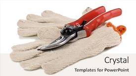  Presentation with garden - Amazing slide set having subway - underground railway tunnel in fast backdrop and a wine colored foreground