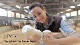  Presentation with baby bottle - Beautiful slide set featuring breeder woman feeding lamb backdrop and a coral colored foreground