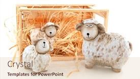  Presentation with barn - 