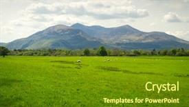  Presentation with killarney - Colorful PPT theme enhanced with sheep and rams in killarney backdrop and a tawny brown colored foreground