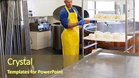  Presentation with decision making manufacturing process - Colorful PPT theme enhanced with sheep cows - handsome cheesemaker making curd cheese backdrop and a tawny brown colored foreground