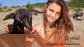  Presentation with bulgarian - PPT layouts enhanced with sheep cows - young cattle girl feeding goats background and a coral colored foreground