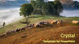  Presentation with mountains - Presentation theme having sheep farm in the mountains background and a tawny brown colored foreground