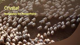  Presentation with foggy - PPT theme featuring sheep-farm-in-the-mountains background and a tawny brown colored foreground