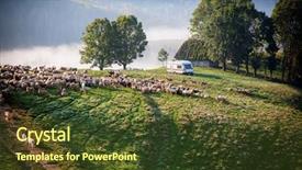  Presentation with foggy - PPT theme having sheep farm in the mountains background and a tawny brown colored foreground