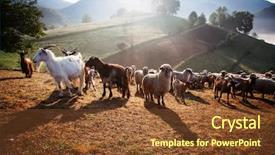  Presentation with foggy - Cool new presentation design with sheep farm in the mountains backdrop and a tawny brown colored foreground