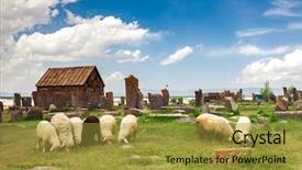  Presentation with sheep - Cool new presentation theme with sheep graze in noratus cemetery backdrop and a gold colored foreground