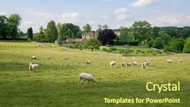  Presentation with grazing - Slide deck enhanced with sheep grazing near upper slaughter background and a tawny brown colored foreground