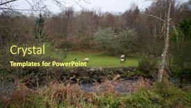  Presentation with stream - Colorful presentation theme enhanced with sheep-grazing-next-a-stream backdrop and a tawny brown colored foreground