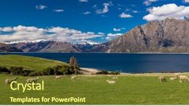  Presentation with new zealand - Slide deck consisting of sheep grazing on a field background and a tawny brown colored foreground