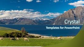  Presentation with new zealand - Amazing presentation design having sheep grazing on a field backdrop and a ocean colored foreground