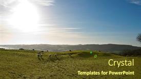  Presentation with flare - Beautiful presentation theme featuring sheep-grazing-with-sun-flare backdrop and a tawny brown colored foreground