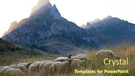  Presentation with pasture - Cool new PPT layouts with sheep-herd-grazing-on-mountain backdrop and a tawny brown colored foreground