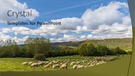  Presentation with sheep - Presentation with sheep-herd-near-terchova-mala background and a light blue colored foreground