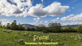  Presentation with sheep - Slide set consisting of sheep-herd-near-terchova-mala background and a tawny brown colored foreground