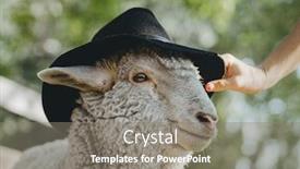  Presentation with sheep - Cool new theme with sheep-in-black-hat backdrop and a gray colored foreground