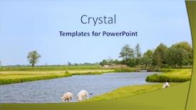  Presentation with agriculture - Slides enhanced with sheep-in-dutch-agriculture-landscape background and a sky blue colored foreground