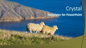  Presentation with new zealand - Slide set featuring sheep-in-green-mountain-meadow background and a ocean colored foreground