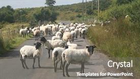  Presentation with ireland - Presentation enhanced with sheep on a country road background and a gray colored foreground