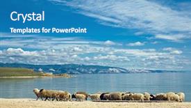  Presentation with green lake - Beautiful PPT theme featuring sheep on green field backdrop and a teal colored foreground