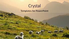  Presentation with norway - Cool new slide deck with sheeps in norway backdrop and a lemonade colored foreground