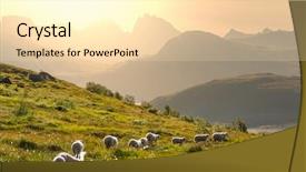  Presentation with norway - Amazing presentation theme having sheeps in norway backdrop and a blonde colored foreground