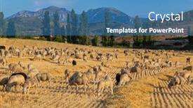  Presentation with mountains - Presentation design featuring sheeps-pacing-peacefully background and a  colored foreground