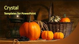  Presentation with child boy hold basket - Beautiful presentation theme featuring shelf with gourds and pumpkins backdrop and a wine colored foreground