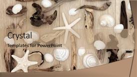  Presentation with oak - PPT layouts consisting of shell and driftwood abstract design over old oak background background and a coral colored foreground