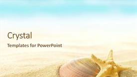  Presentation with starfish - Audience pleasing PPT theme consisting of holidayaquatic - shell and starfish on sandy backdrop and a cream colored foreground
