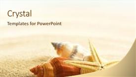  Presentation with starfish - PPT theme featuring mexico cancun - shell and starfish on sandy background and a cream colored foreground