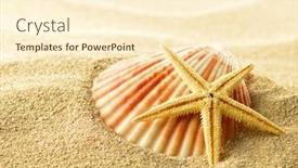  Presentation with starfish - 