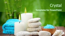  Presentation with sea shell - Cool new presentation design with shell and toning sea crystal backdrop and a forest green colored foreground