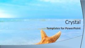  Presentation with fish beach - Theme consisting of shell beach fish background and a light blue colored foreground