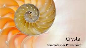  Presentation with shell - Colorful presentation theme enhanced with shell isolated on white background backdrop and a lemonade colored foreground