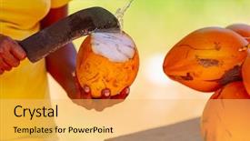  Presentation with coconut shell - Slide set enhanced with shell of big yellow king background and a yellow colored foreground