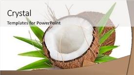  Presentation with coconut shell - Cool new PPT theme with shell oil - close-up of a fresh tasty backdrop and a white colored foreground