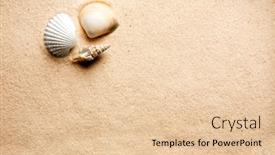  Presentation with shell - Colorful presentation enhanced with shell-on-a-background backdrop and a lemonade colored foreground