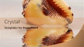  Presentation with dominican republic - 