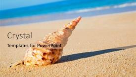  Presentation with shell - Slide deck having shell on exotic beach background and a coral colored foreground
