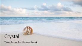  Presentation with sea shell - Beautiful PPT layouts featuring shell on golden sand beach backdrop and a light gray colored foreground