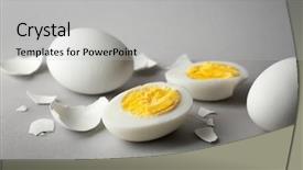  Presentation with shell - Slide set having shell on grey background nutrition background and a  colored foreground