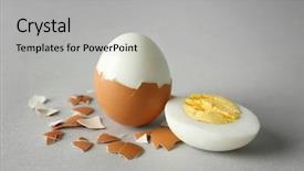  Presentation with shell - Slides having shell on grey background nutrition background and a  colored foreground