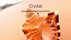  Presentation with shell - Amazing slides having shell on sand under sunset sky backdrop and a lemonade colored foreground