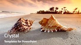  Presentation with shell - Colorful presentation design enhanced with shell on sand under sunset sky backdrop and a coral colored foreground