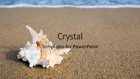  Presentation with sea shell - Cool new presentation theme with shell on sea sandy coast backdrop and a coral colored foreground