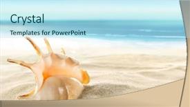  Presentation with shell - Amazing presentation design having shell on the beach backdrop and a light blue colored foreground
