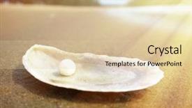  Presentation with goa beach - Audience pleasing theme consisting of shell on the sandy beach backdrop and a lemonade colored foreground