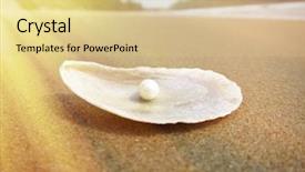  Presentation with goa beach - Audience pleasing theme consisting of shell on the sandy beach backdrop and a lemonade colored foreground
